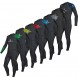 Spinera Professional Fullsuit 5/4/3 mm GBS