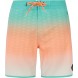 PROTEST PRTCHAD 19 Boardshort wave green