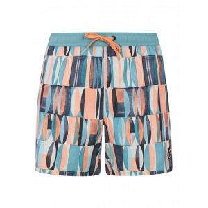 Protest PRTAllen Short swim shorts