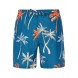 Protest PRTHear Swim shorts