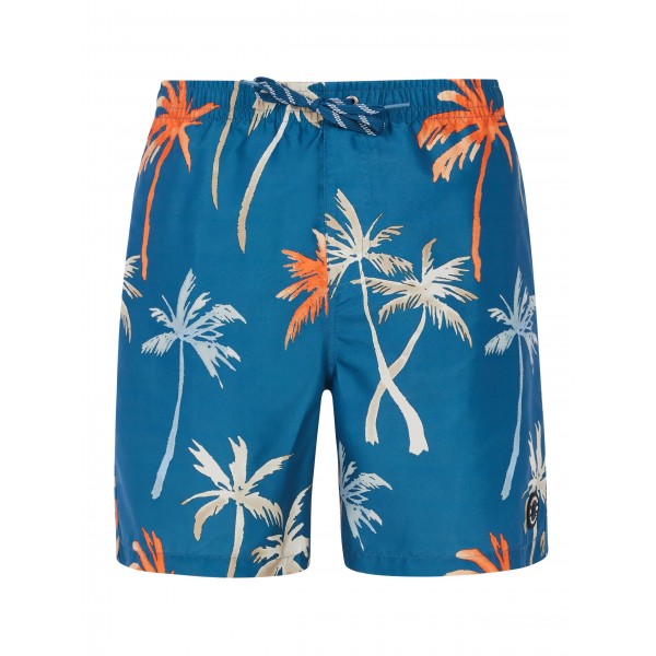 Protest PRTHear Swim shorts