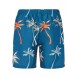 Protest PRTHear Swim shorts